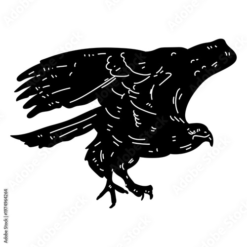 Eagle wing fly flying beak talon silhouette