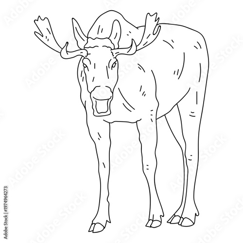 Elk antler moose hoof stroke