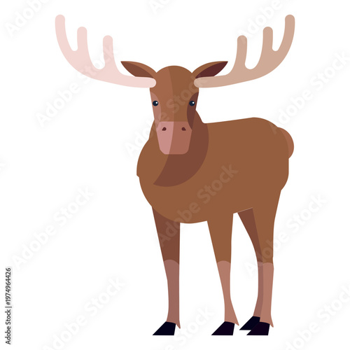 Moose elk antler hoof flat