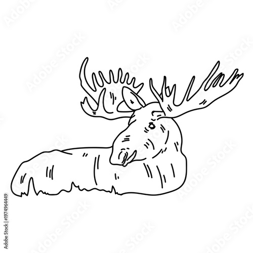 Moose elk hoof antler line