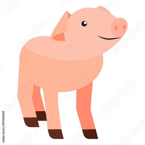 Pig snout ear hoof fat flat