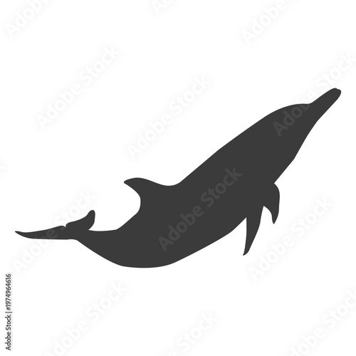 Dolphin tail flipper silhouette animal