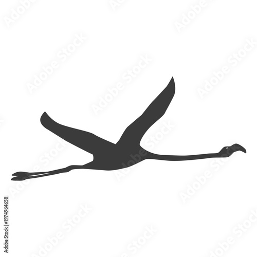 Flamingo leg beak pink fly silhouette bird