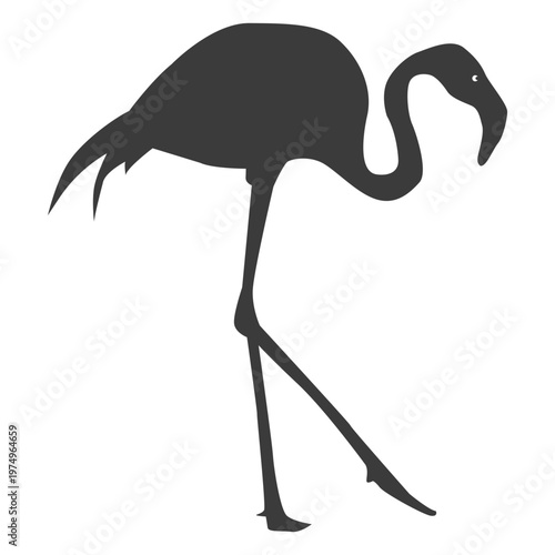 Flamingo beak pink leg silhouette bird