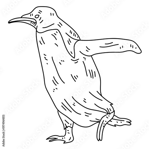 Penguin wing beak line