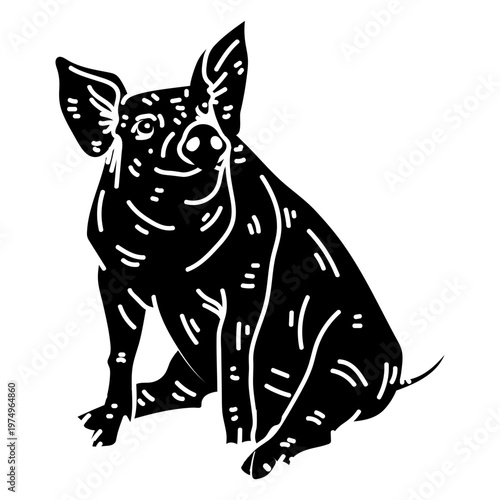Pig snout ear hoof sitting silhouette detail