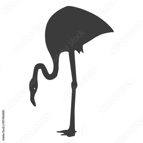 Pink flamingo leg beak silhouette bird