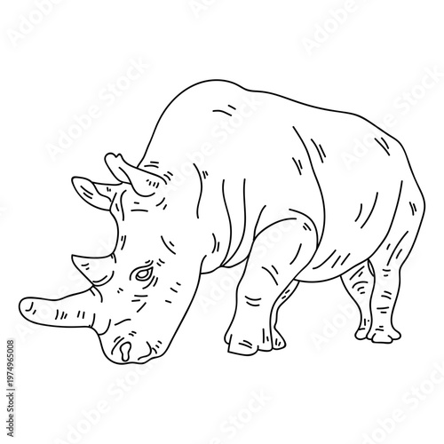 Rhinoceros rhino horn stroke