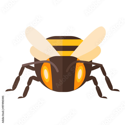 Bee stripe wing wasp flat