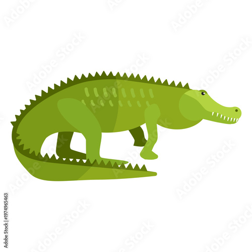 Crocodile alligator tail fang flat