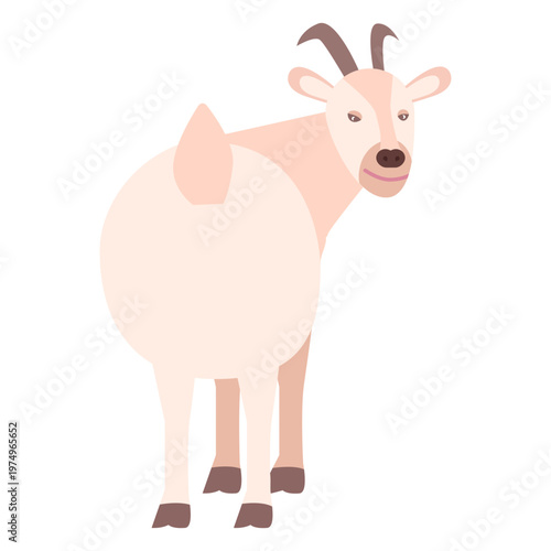Goat tail hoof horn flat animal