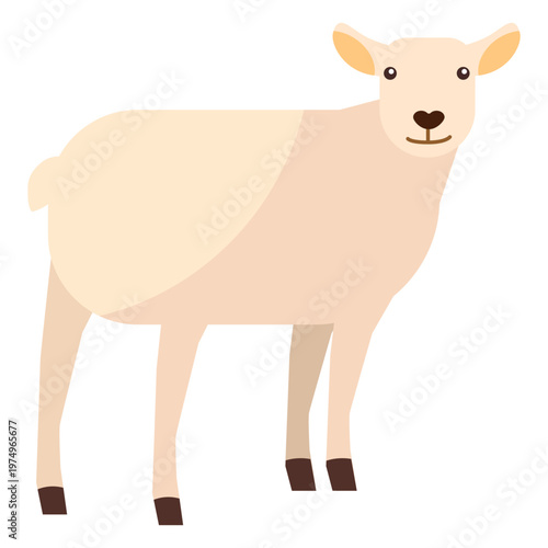 Lamb sheep wool hoof flat