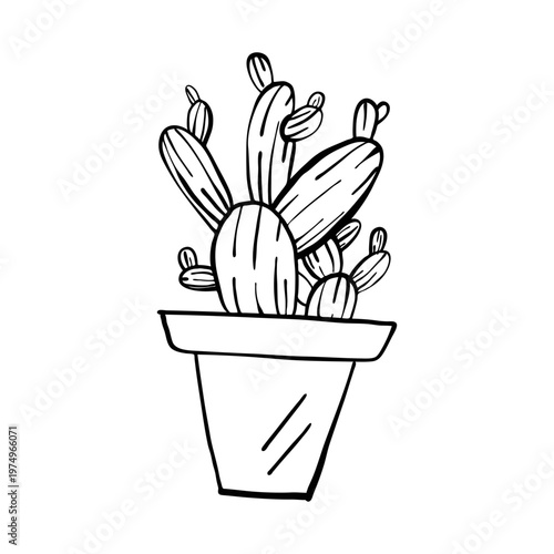 Cactus pot thorn sketch