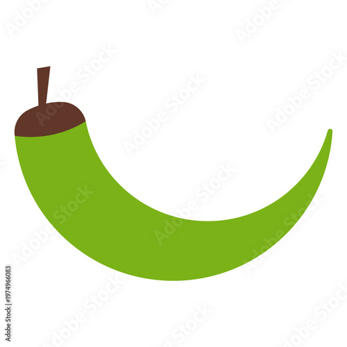 Chilli pepper green flat
