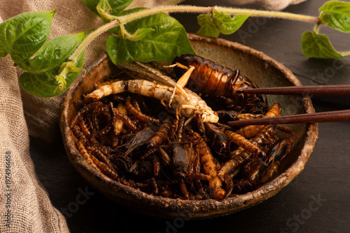 Insect Protein Snack on Handmade Pottery