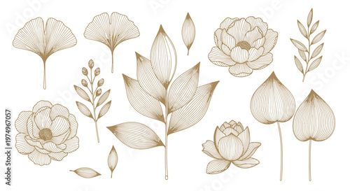 Elegant hand-drawn botanical illustrations set featuring delicate flowers, intricate leaves, and natural elements perfect for refined design projects, invitations, and textile patterns