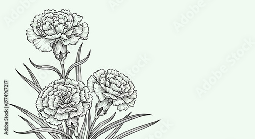 Beautiful Hand-Drawn Carnation Flowers with Green Leaves in a Gentle Sketch Style