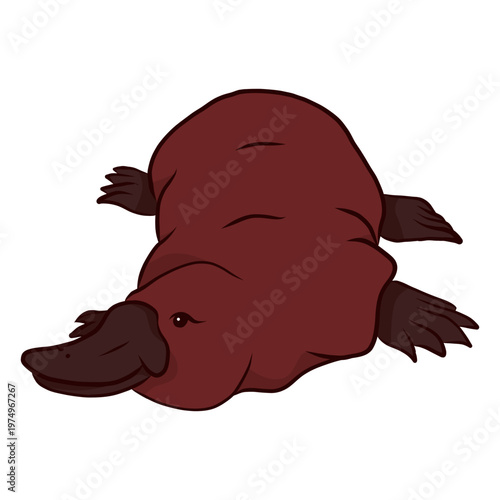 Duckbill platypus beak leg illustration