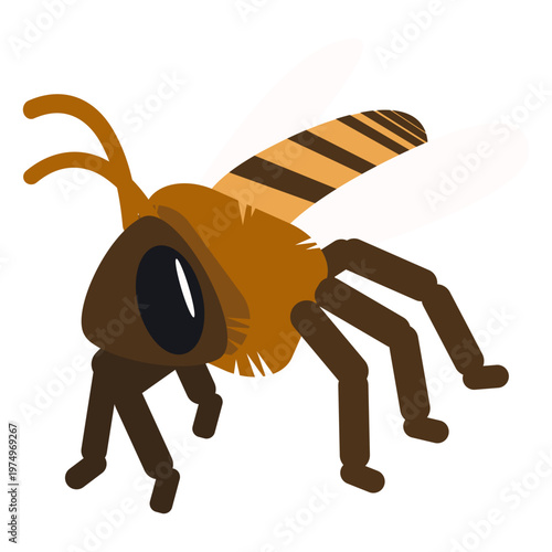 Bee wing stripe wasp rounded flat