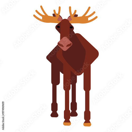 Elk moose muzzle hoof antler rounded flat