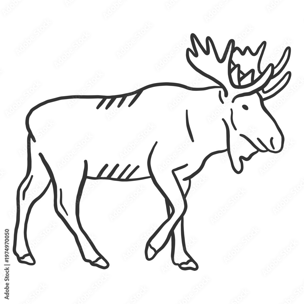 Fototapeta premium Moose hoof elk muzzle antler doodle