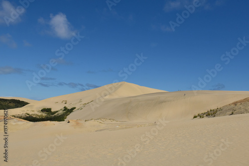 New Zealand Giant Sand dunes