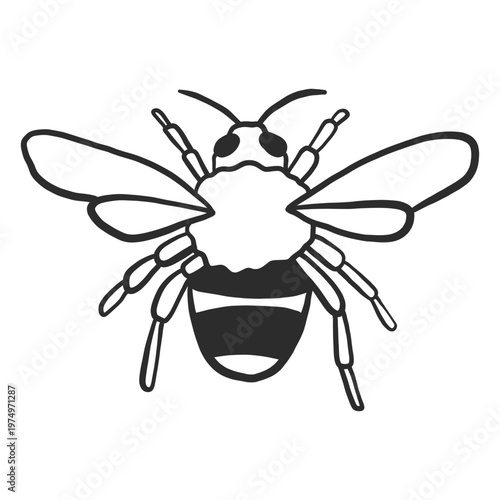 Bee wasp stripe wing doodle