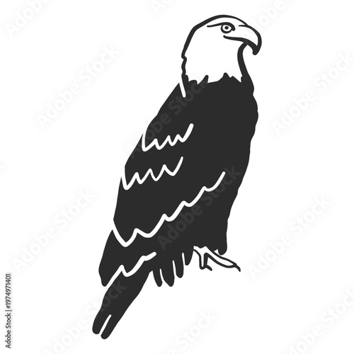 Eagle wing beak talon doodle