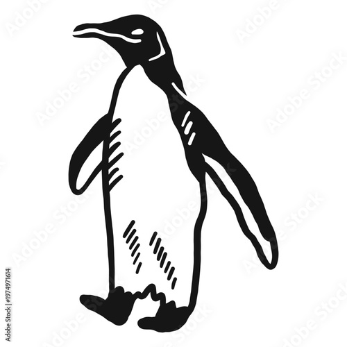 Penguin wing leg beak doodle