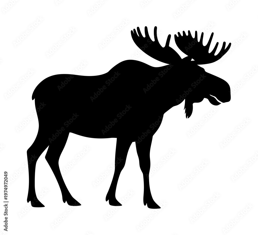 Fototapeta premium Vector black silhouette of a moose with large antlers standing prominently against a white background