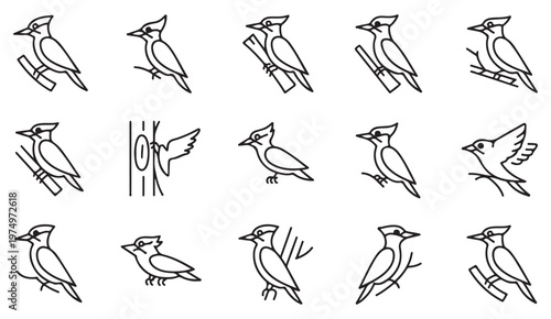 Abstract bird silhouette set with clean contours and artistic icon design elements