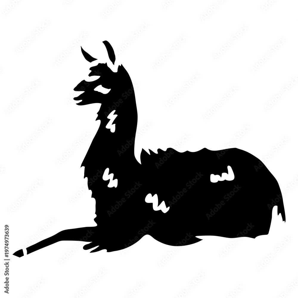 Fototapeta premium Llama sitting silhouette alpaca
