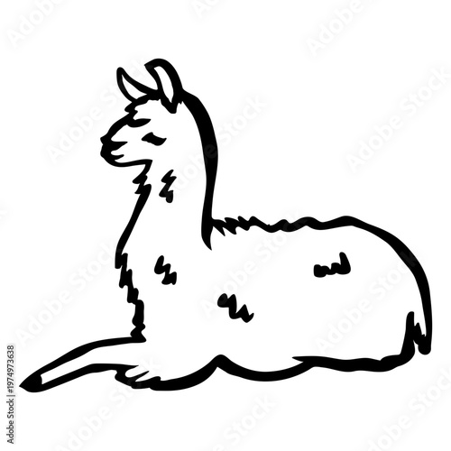 Llama sitting stroke llama