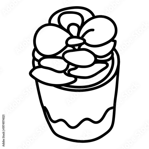 Succulent species stroke illustration