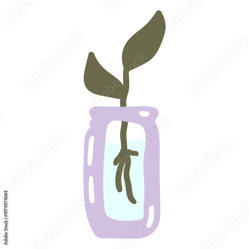 Plant with roots on water