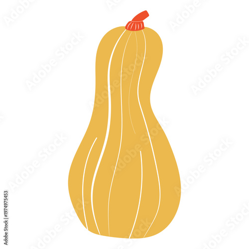Flat long pumpkin