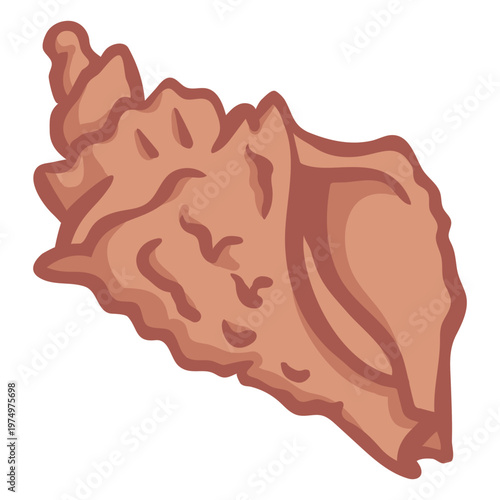 Hand drawn conch