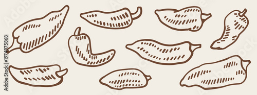 Peppers vegetable hand drawn set