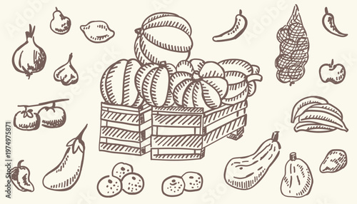 Vegetables on a farmer's market hand drawn illustration