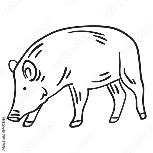 Mammal snout animal pig stroke
