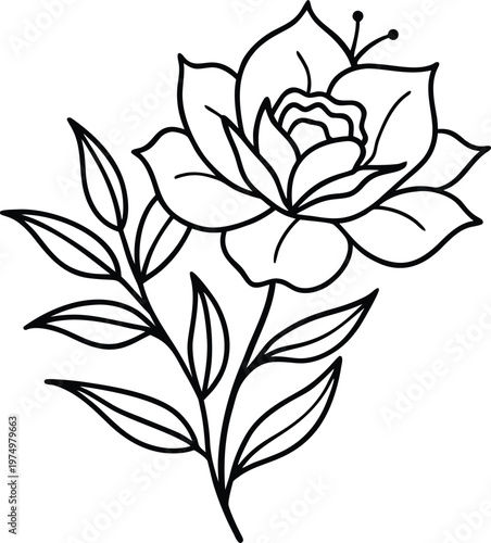 a minimal botanical graphic sketch drawing  trendy