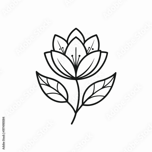 a minimal flower graphic sketch line art drawing