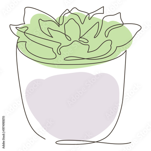 Succulent plant pot line drawing
