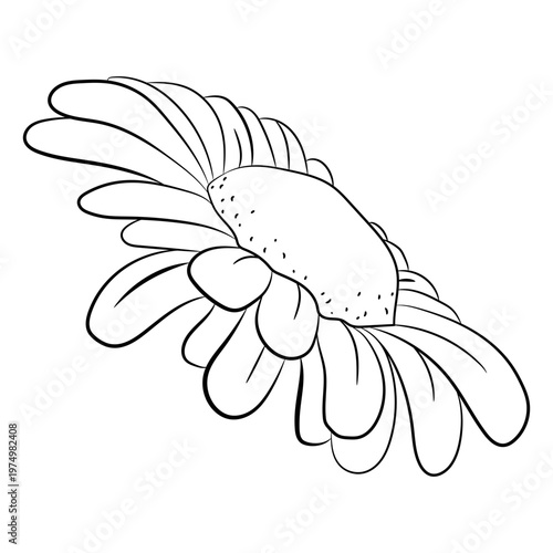 Daisy flower facing up stroke