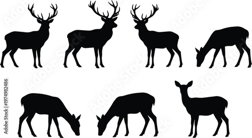 A set of black silhouettes of deer in various poses and antler styles on white background for design and graphic use