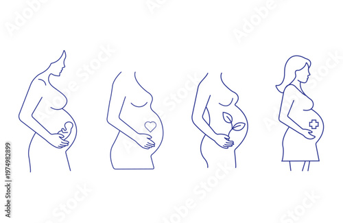 Pregnant women in different stages vector illustration