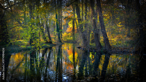 Autumn in the park