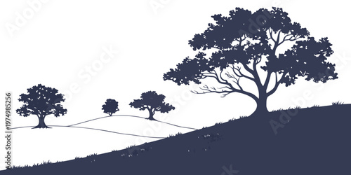 A lone pine tree stands tall against a snowy backdrop