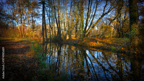 Autumn in the park