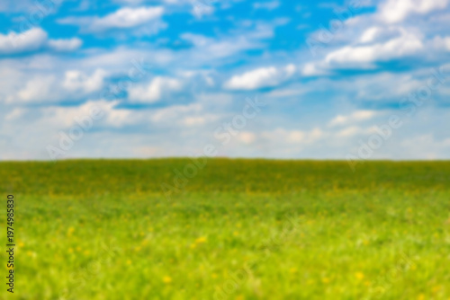 Blurred summer meadow and blue sky background with copy space for text. Defocused nature landscape for design and ecology concepts.